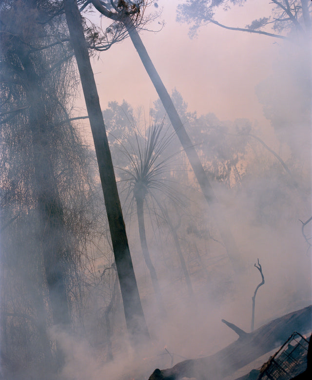 Burning Forest near UCT